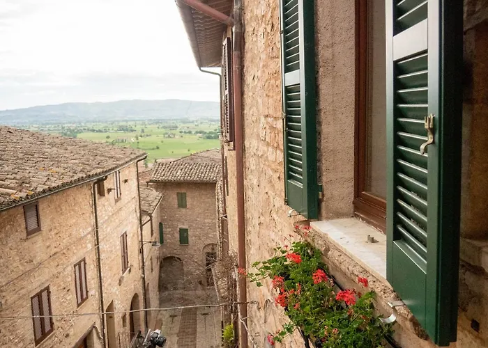 Domus Flora Guest House