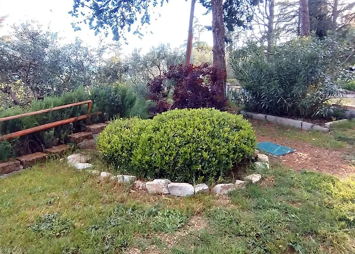 I Pini House